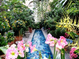 botanicgarden-washingtondc6