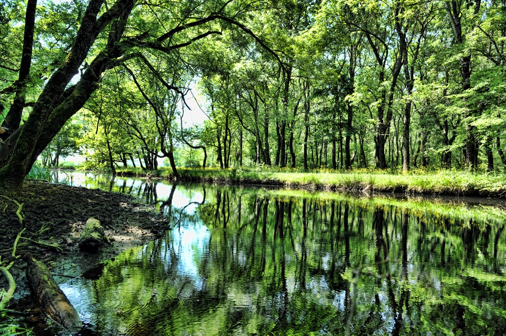 Karadeniz ile Trakya’nın Kesiştiği Şirin Yöre ; ” İğneada ”