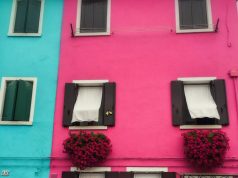 Dünyayı Birlikte Gezmek İçin İşinden Ayrılan Çift